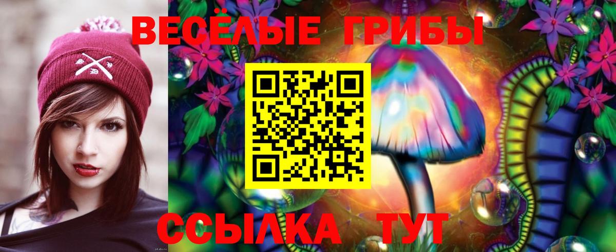 Ростов-на-Дону  Псилоцибиновые грибы Psilocybine cubensis  закладки  Вход с VPN 